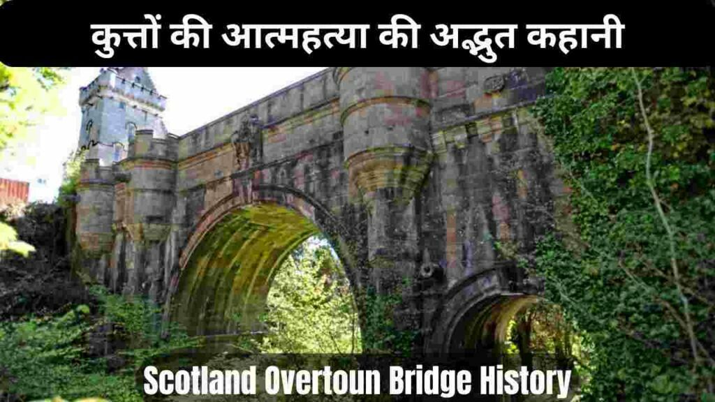 overtoun bridge scotland dogs, Scotland overtoun bridge facts