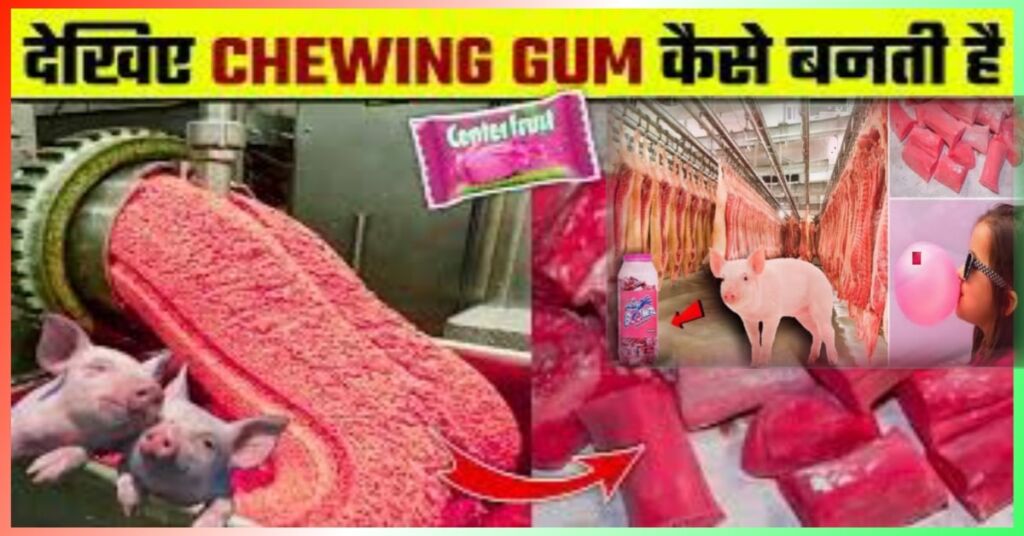 चिंगम कैसे बनती है?, Chingam kaise banta hai invention of chewing gum history of chewing gum