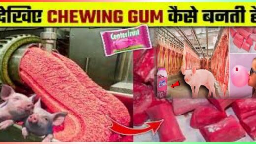 Chingam kaise banta hai invention of chewing gum history of chewing gum
